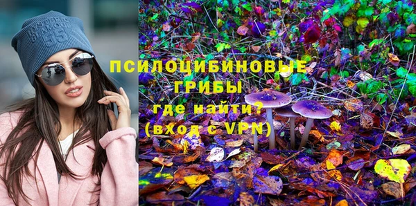 эйфоретик Нея