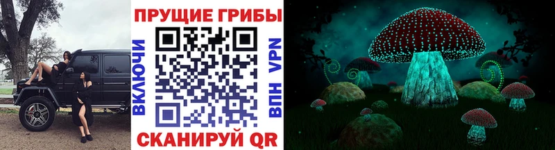 сколько стоит  Кумертау  Галлюциногенные грибы GOLDEN TEACHER 