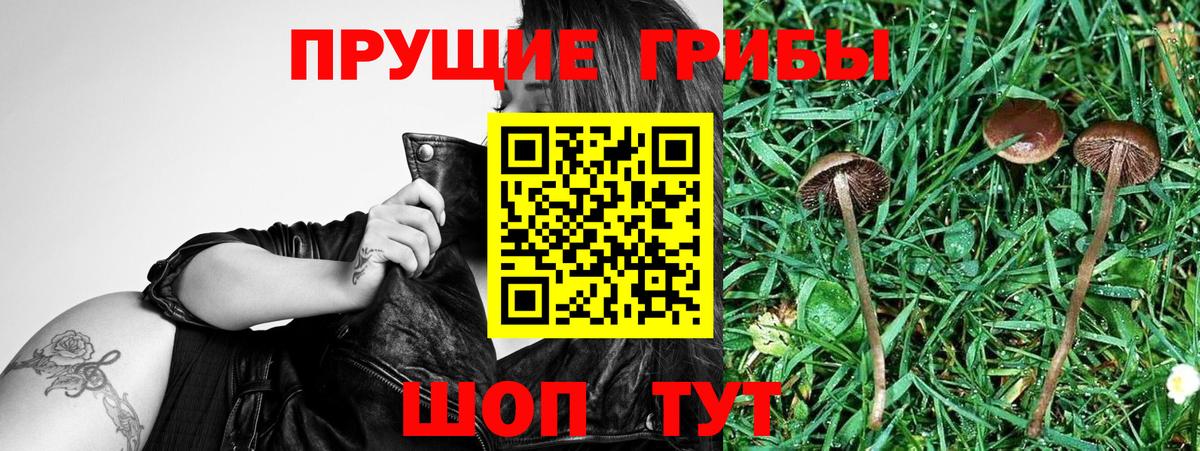Псилоцибиновые грибы мухоморы  наркошоп  Кумертау 