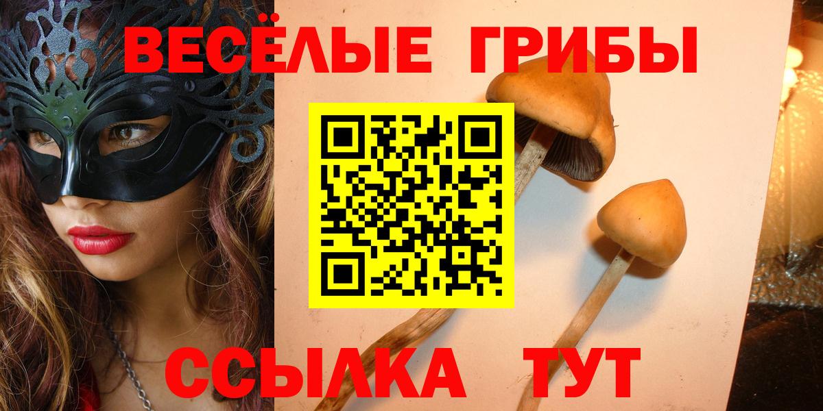 Галлюциногенные грибы прущие грибы Кумертау